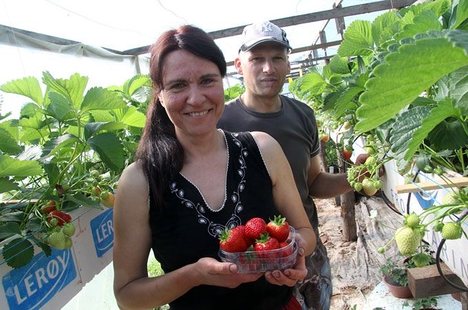 Autors: Agris Samcovs