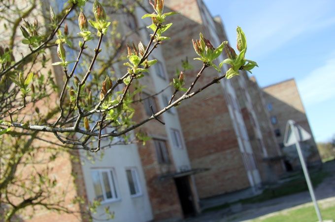 Autors: Agris Samcovs