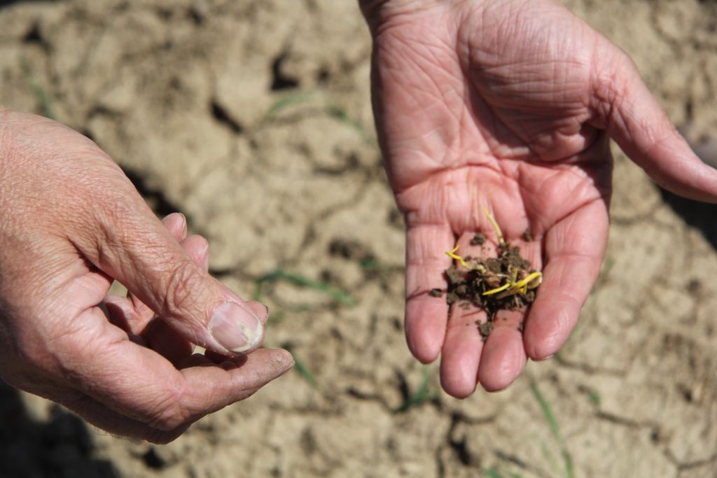 Autors: Agris Samcovs