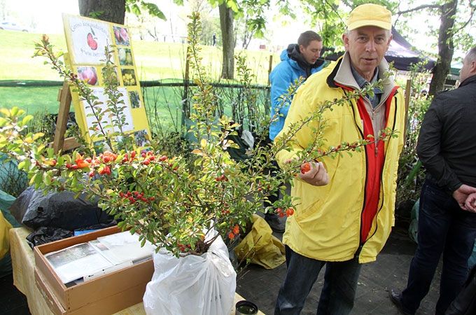 Autors: Agris Samcovs