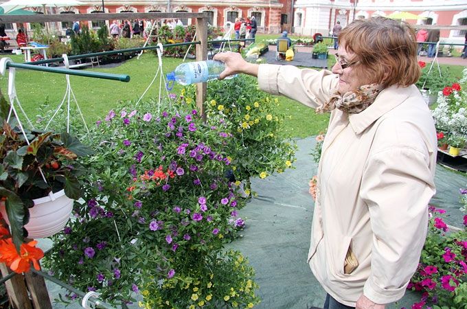 Autors: Agris Samcovs