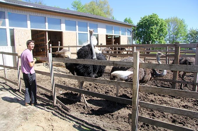 Autors: Agris Samcovs