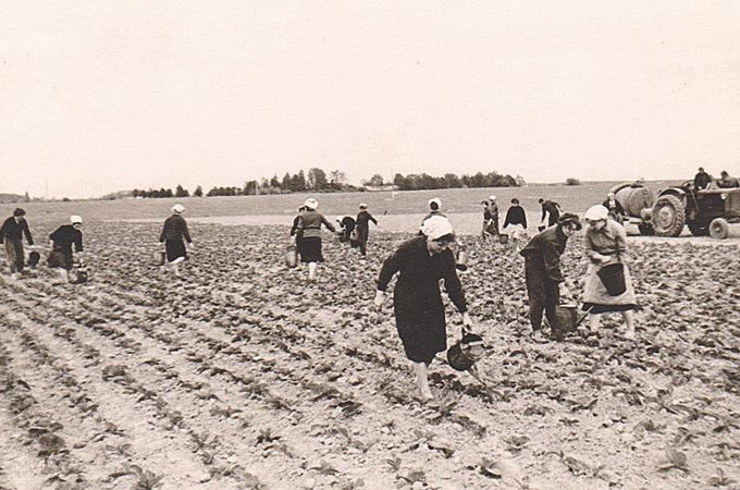 Autors: no Zaļenieku komerciālās un amatniecības vidusskolas kolekcijas