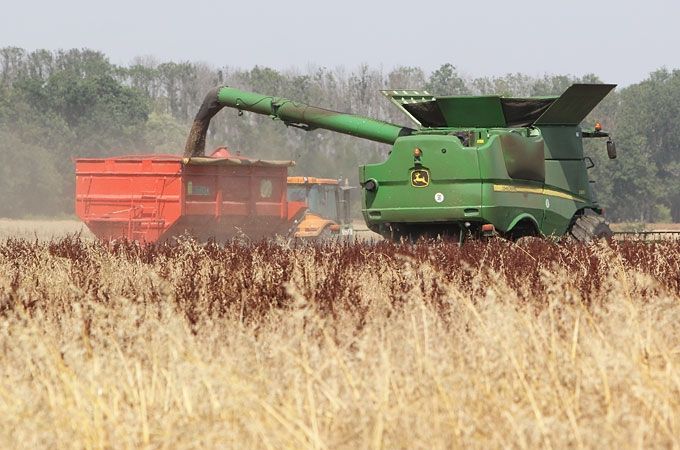 Autors: Agris Samcovs