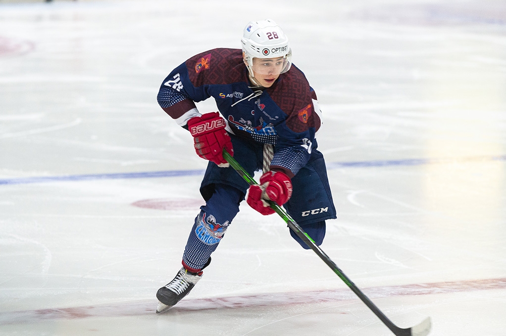 Renars Džerods Alksnis