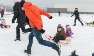 ziemas diena