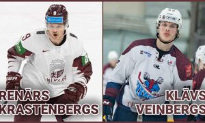 krastenbergs veinbergs