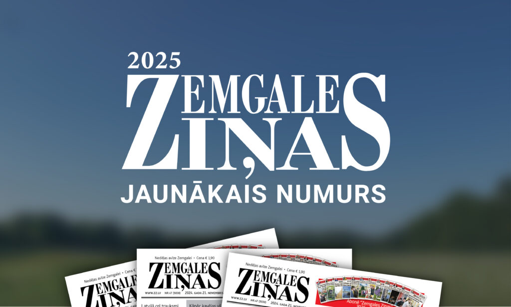 ZZ.lv raksta attēla aizvietotājs