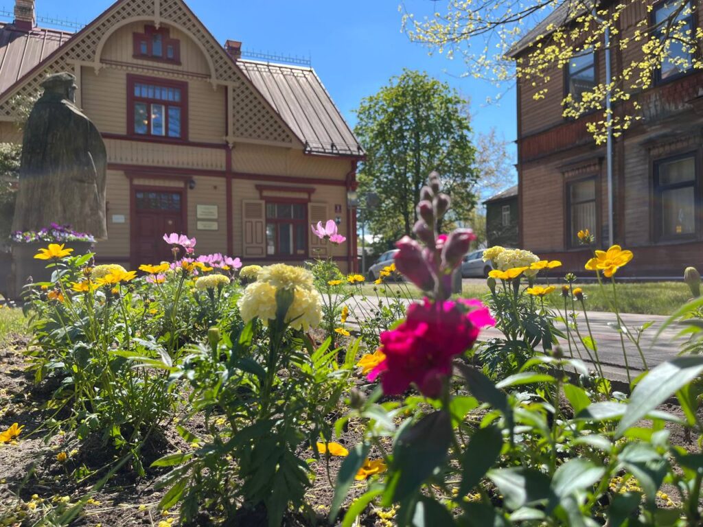 Aluksniesiem.lv raksta attēla aizvietotājs